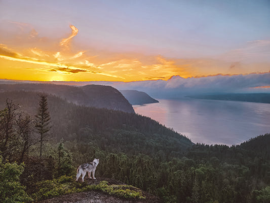 Les plus beaux points de vue au Saguenay