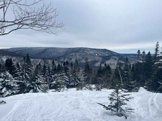 Randonnées alpines dans la neige fraîche