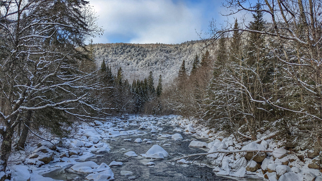 5 endroits pour débuter la randonnée hivernale dans la région de Québec